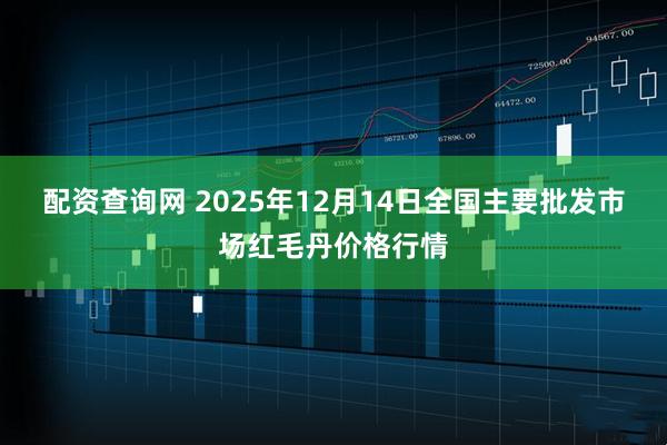 配资查询网 2025年12月14日全国主要批发市场红毛丹价格行情